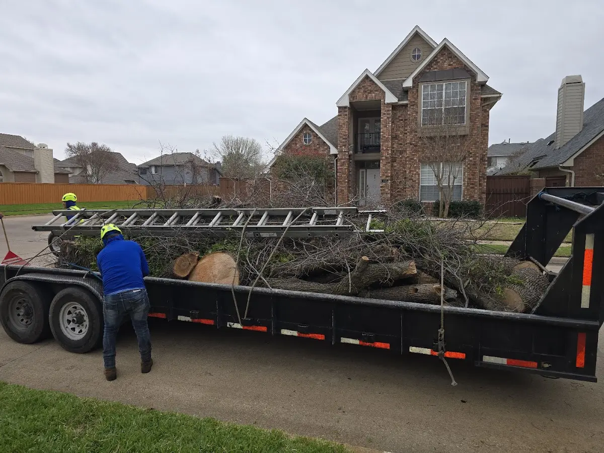 Expert Crown Reduction with proper safety equipment in Spring City